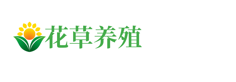 贵州好前途教育科技有限公司